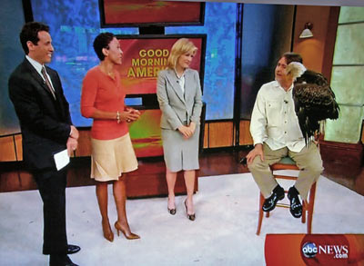 Al Cecere and Bald Eagle Challenger visit Good Morning America. Pictured with Al and Challenger are Diane Sawyer, Robin Roberts, and Chris Cuomo.