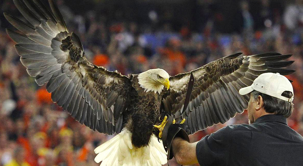 Challenger American Eagle Foundation