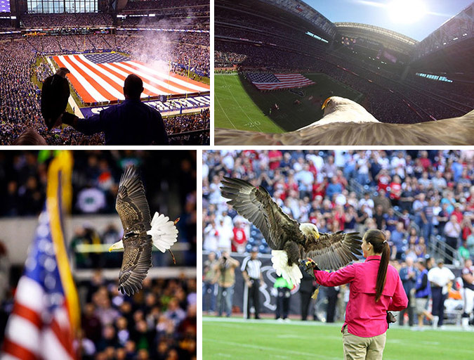 Football photos