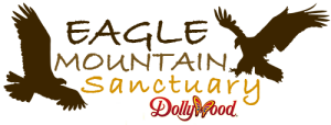 Eagle Mountain Sanctuary