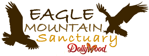 Eagle Mountain Sanctuary
