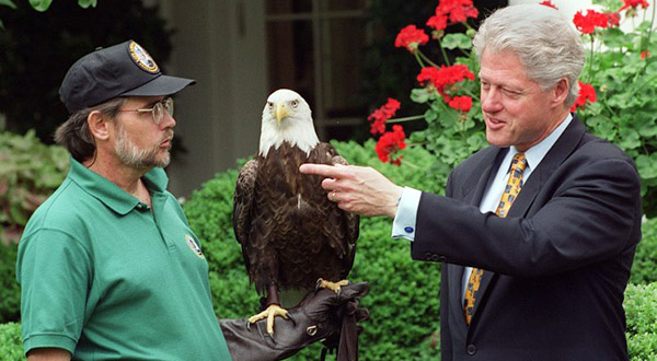 Bald Eagle Protection & Advocacy | American Eagle Foundation