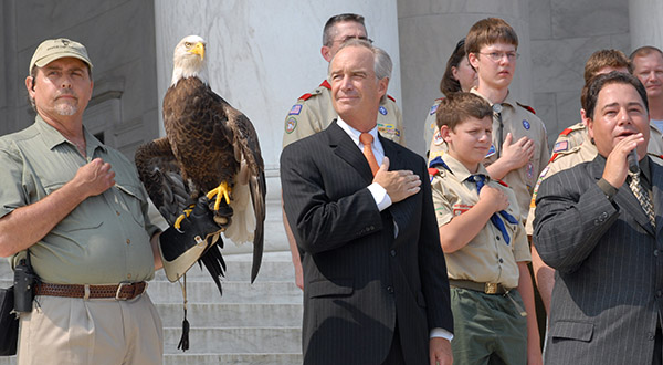 Bald Eagle Protection & Advocacy | American Eagle Foundation