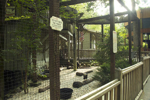 sanctuary