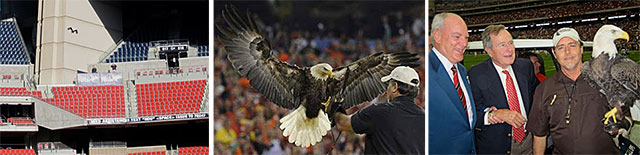 Football Season 2012