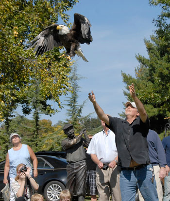 RehabilitatedEagle Release