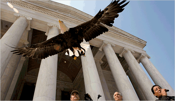 Challenger flies during Delisting Ceremony
