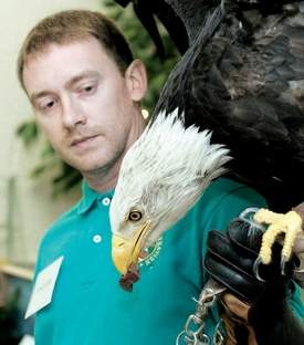 Bald Eagle 'Mr. Lincoln' visits 3rd Grade Class