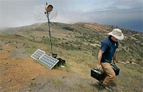 Restoring eagles on Catalina Island