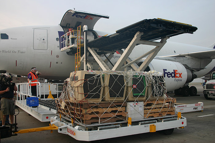 Eaglets arrive in Knoxville to be cared for by the AEF.
