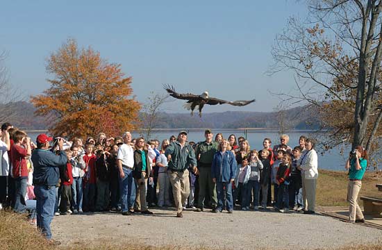 Eagle Release