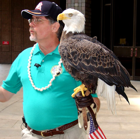 Challenger,” a 16-year-old American bald eagle from Tennessee, performed a special “fly-by” for school children and other spectators at the State Capitol on February 5th, which was proclaimed “Challenger Day in Hawaii” by Governor Lingle. Accepting the proclamation was Al Cecere, president and CEO of the nonprofit American Eagle Foundation. “Challenger” is in Hawaii to perform a free-flight demonstration during the presentation of the National Anthem at the NFL Pro Bowl All-Star Game at Aloha Stadium. -- REUTERS