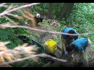 June 9 - AEF staff clears the