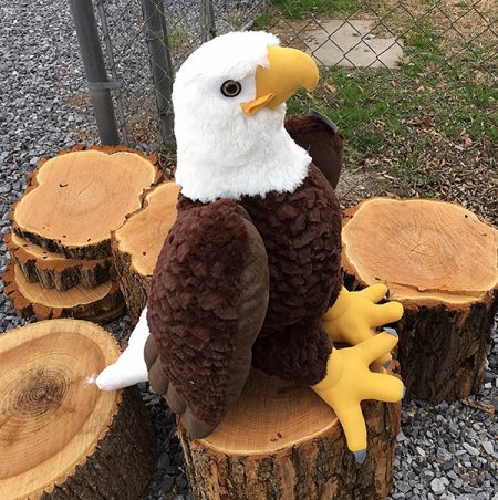 american eagle stuffed animal
