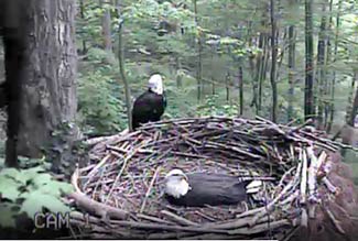 And now brooding begins in earnest -- All day.