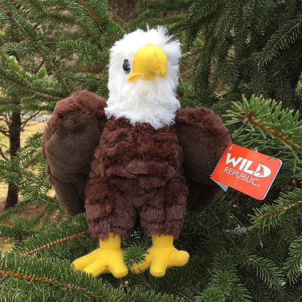 wild republic eagle