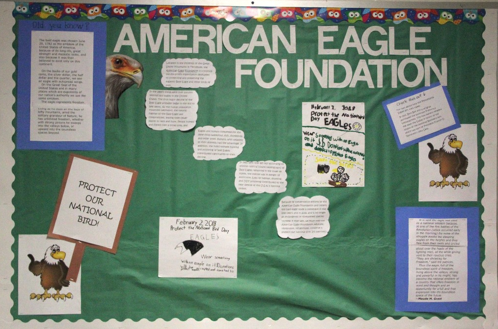McKinley Students Raised Money for the American Eagle Foundation!