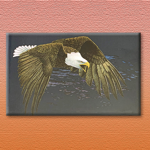 Magnet  midnight blue bald eagle in flight  american eagle foundation Magnet  midnight blue bald eagle in flight  american eagle foundation