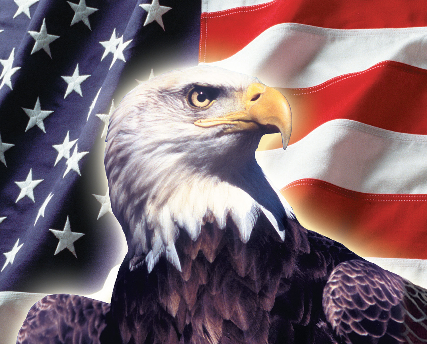 Звук орла америка. Белоголовый Орлан США. Символ Америки белоголовый Орлан. Белоголовый Орлан на флаге США. Белоголовый Орлан на гербе США.