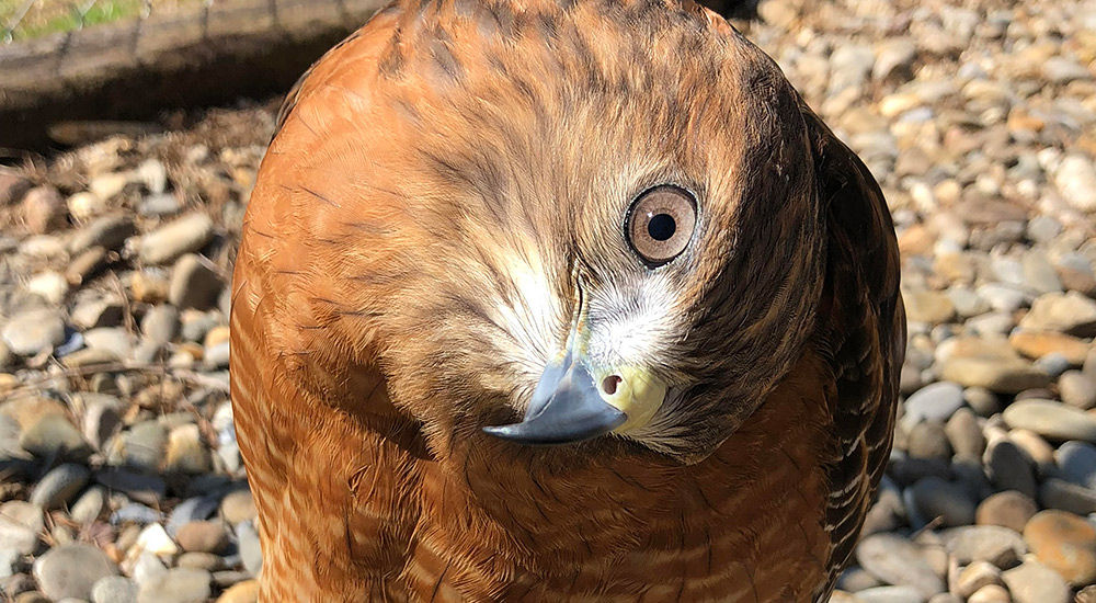 indiana-slideshow-photo-oct-2019