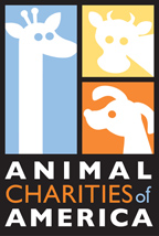 AnimalCharities