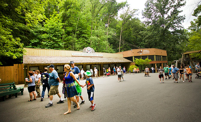 dollywood-show